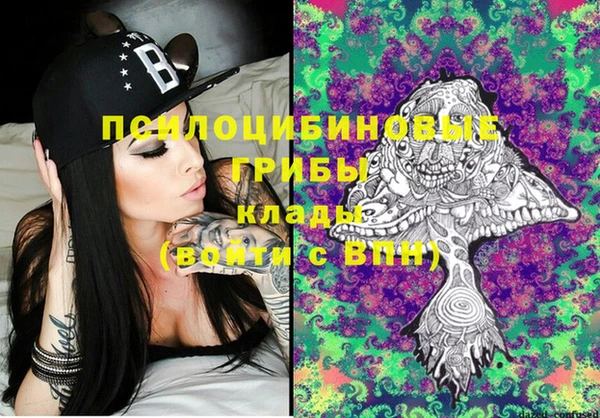 СК Горнозаводск