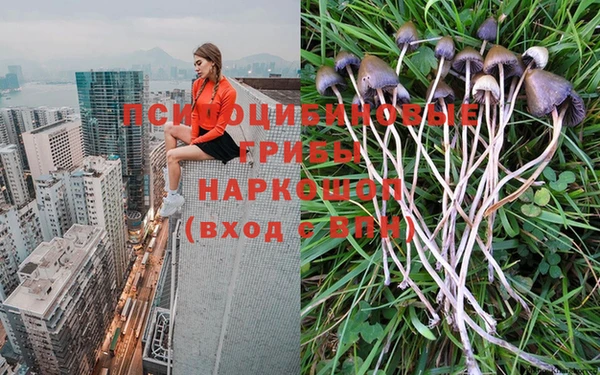 винт Горно-Алтайск